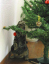 image0266