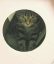 image0269