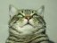 image0271