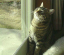 image0273