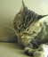 image0275