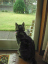 image0276
