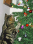 image0277