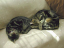 image0280