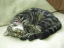 image0281