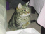 image0284