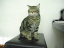 image0288