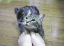 image0289