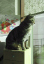 image0290