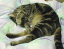 image0291