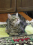 image0294