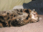 image0058