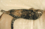 image0200
