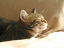 image0272
