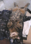 image0301