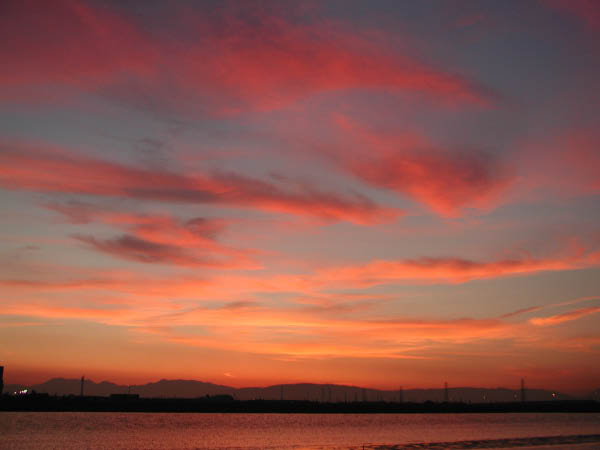 image0005