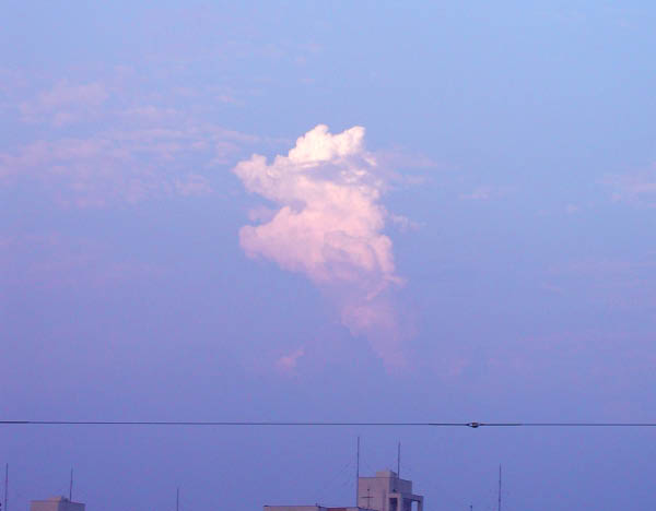 image0006