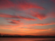image0005
