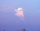 image0006