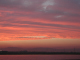 image0010
