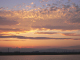 image0010